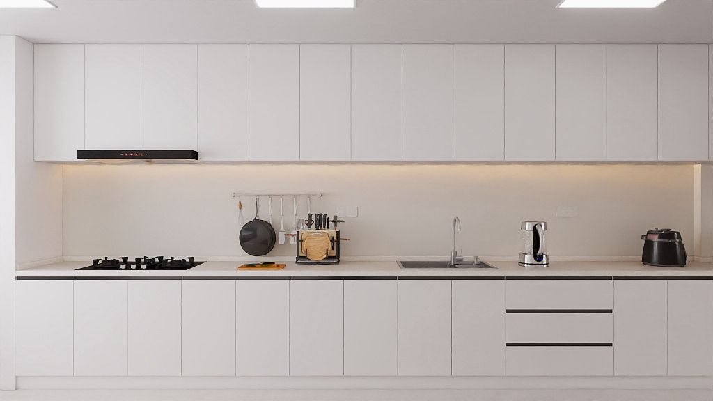 Kitchen — cooktop, hood & countertop